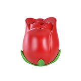 Esschert design watering can rose plastic
