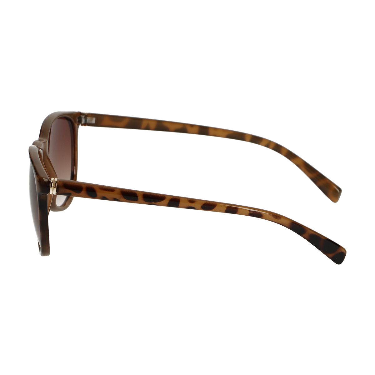 Ženska sončna očala Spectrum leopard gradient rjava