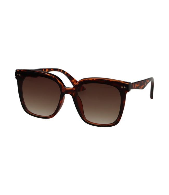 Spectrum sunglasses tortoise statement chic gradient brown women
