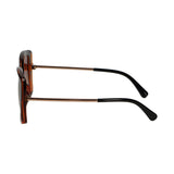 Spectrum sunglasses butterfly gradient tortoise brown ladies
