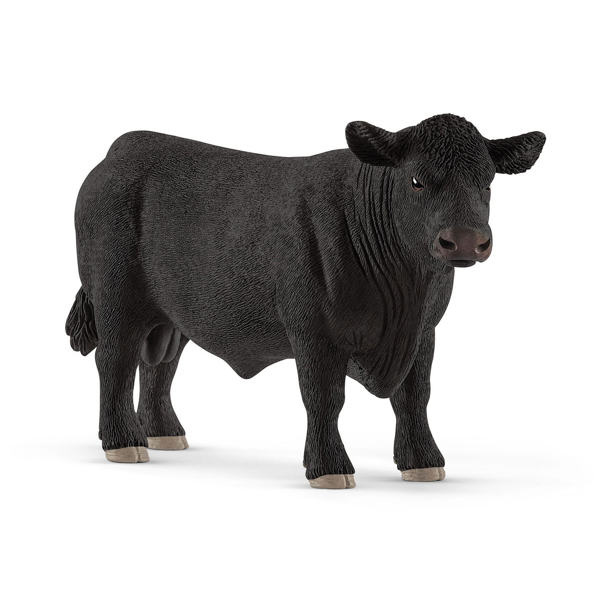 Schwartich Farm World Angus Lier 13879