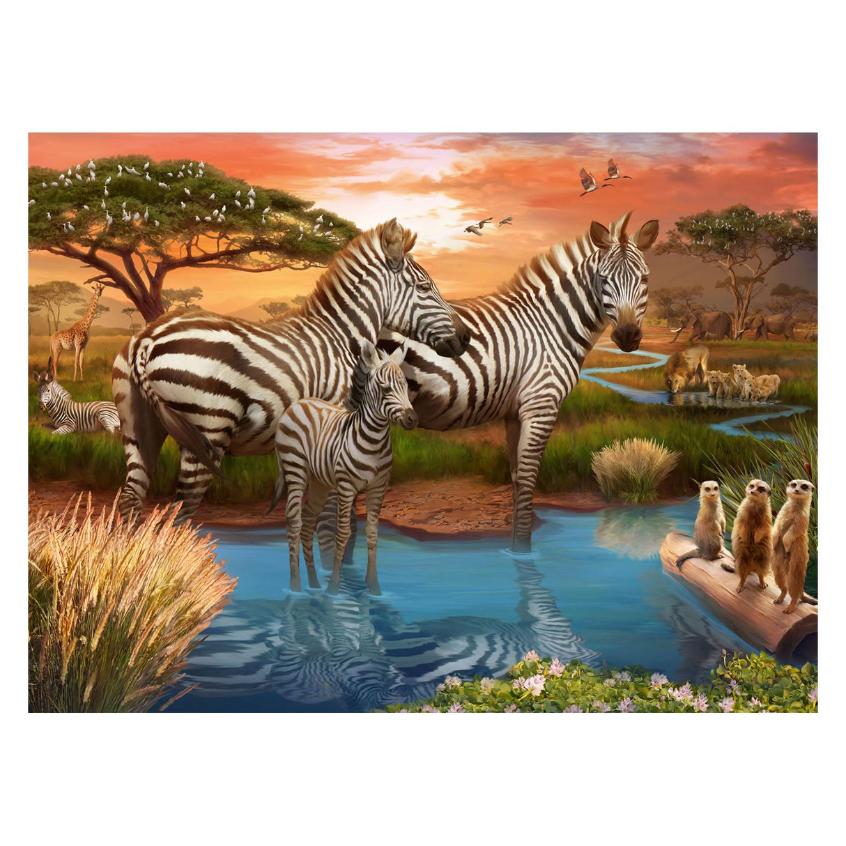 Ravensburger Puzzle Zebras à The Drinking Place, 500ST.