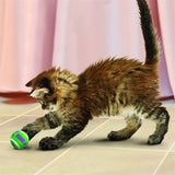 Kong Kat Tennis balls with calling