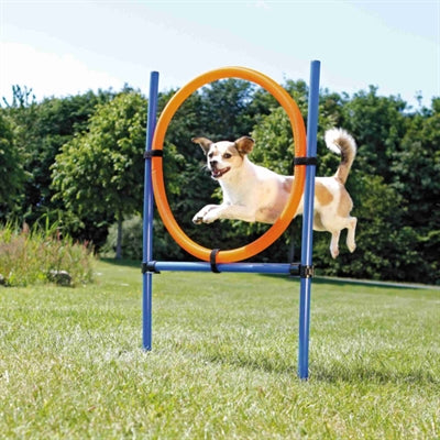 Trixie Dog activity agility ring blauw oranje