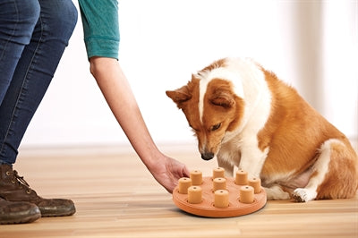 Nina Ottesson Dog Smart Composite