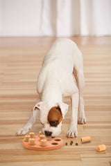 Nina Ottesson Dog Smart Composite