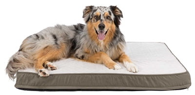 Trixie Vital Vital Orthopedic Pillow Taupe Gris clair