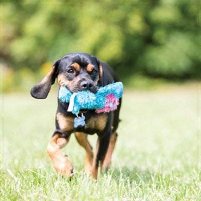 Kong cozie Brantéiergehalt Assorti