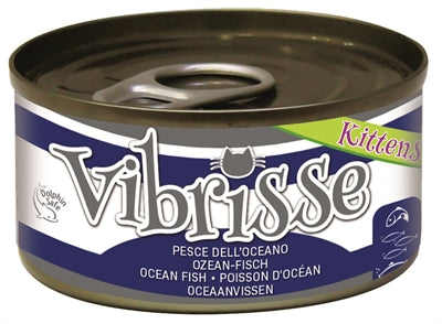 Vibrisse Kätzchen Katze Ozeanfisch