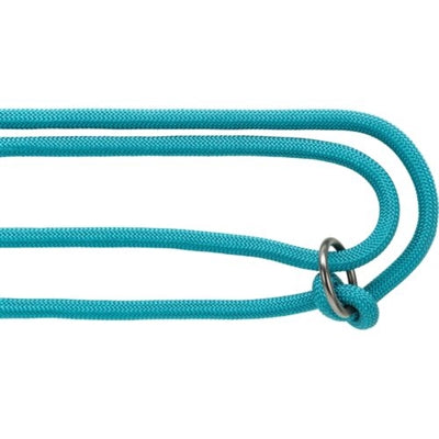 Trixie Dog LEASH Soyez gris clair à essence réglable nordique