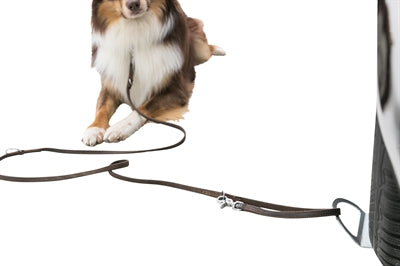 Trixie Ramp fir Leash Grey