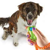 Brightkins Smarty Pooch Training Bone