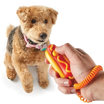 Hrigkins schlau pooch Training klickt op Hotdog