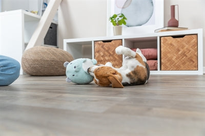 Trixie en peluche ours à la menthe verte pour chiot