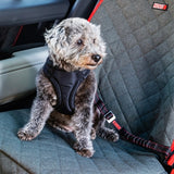 Kong Autogordel hond deluxe swivel