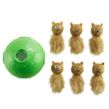 Chien de chien extérieur sniffle n 'grever ball vert