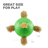 Chien de chien extérieur sniffle n 'grever ball vert