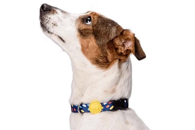 Morso Halsband hond gerecycled color invaders paars