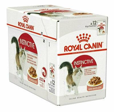 Canino royal canino canino istintivo nel sugo