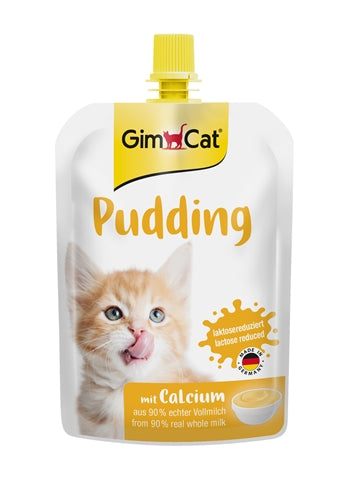 Gimcat pudding pose for katter