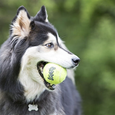 Kong Squeakair Tennis Ball Giallo con segnalino