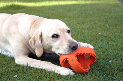 Happy Pet Strubber Interactive Football Orange