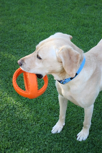 Happy Pet Grubber Interactive Football Orange