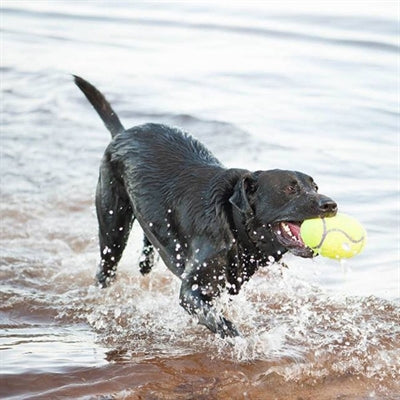 Kong Airdog Fussball Giel