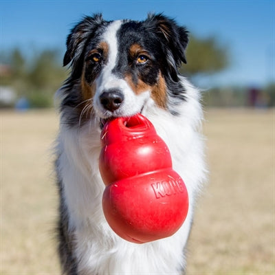 Kong Bounzer Red