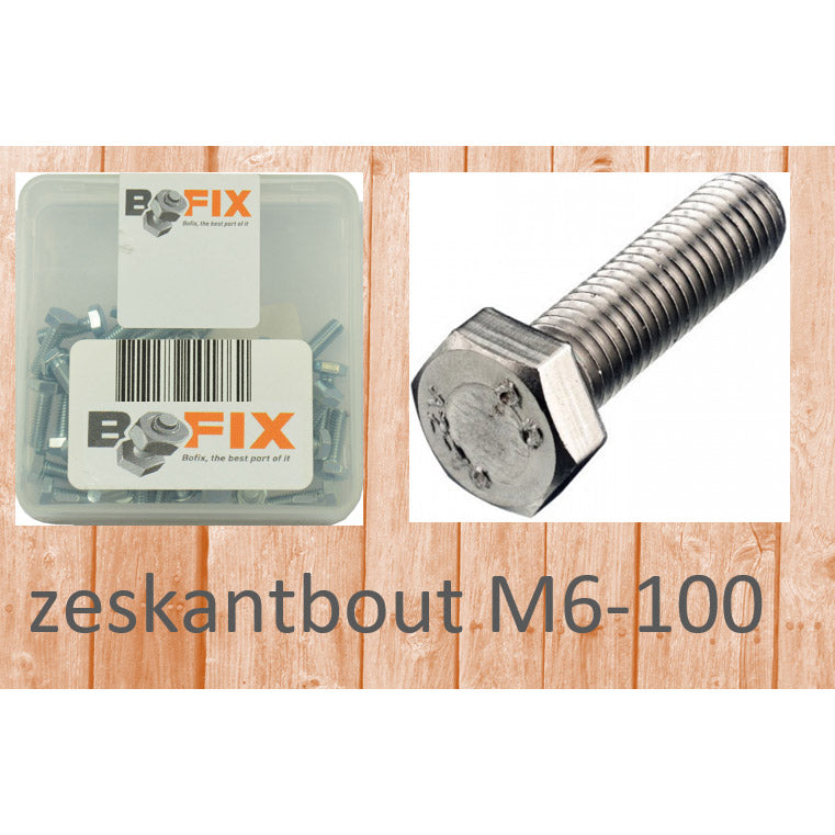 Bofix hexagon bolt M6-100 (12st)