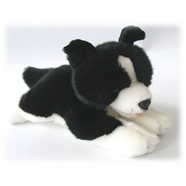 Border Collie Welpe 29 cm