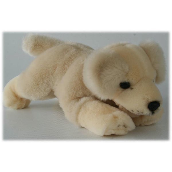 Golden Retriever Welpe 29 cm