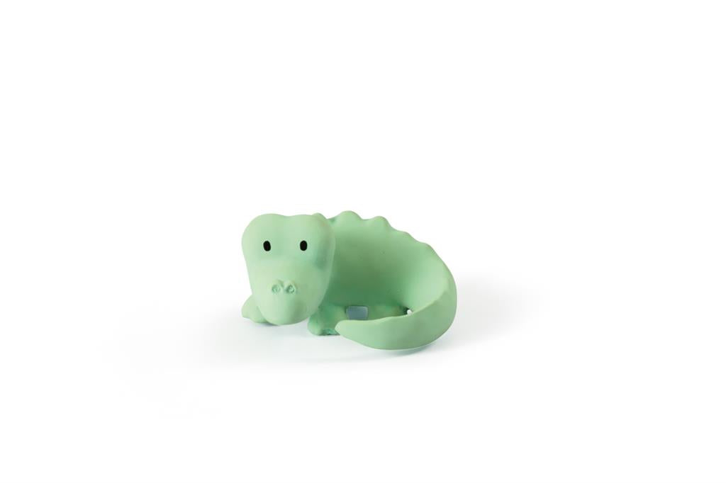 Tikiri bath toy my first such crocodile