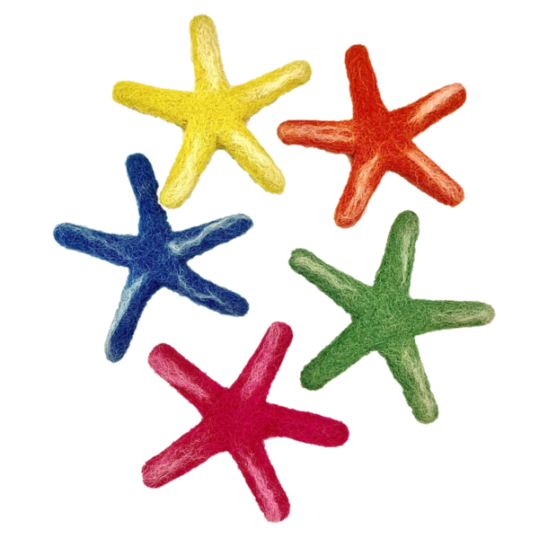 Papoose Toys Papoose Toys Sea Star Laevigata 5pc